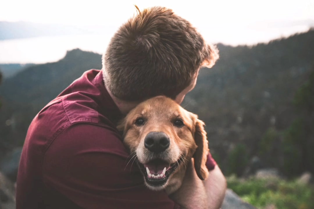 Unsplash

750+ Trending Pictures | Download Free Images on gonga94